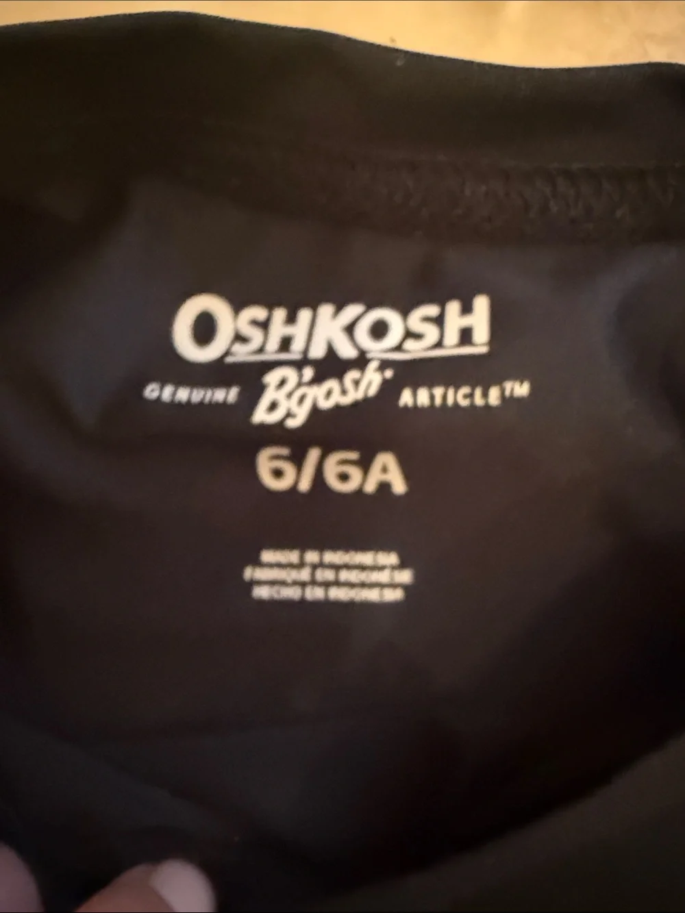 OshKosh B'gosh Black Rash Guard with Dinosaur Print Swim Trunks